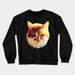 I Am a Ray of Sunshine Cat Crewneck Sweatshirt